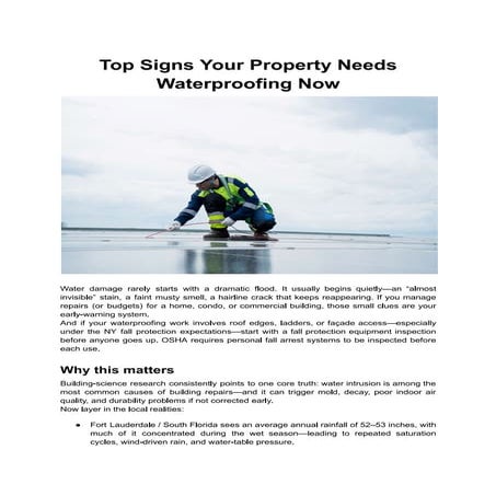The Complete Guide to Professional Window Cleaning | PDF