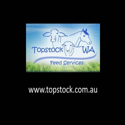 Topstock Feedlot Supplementation | PPTX