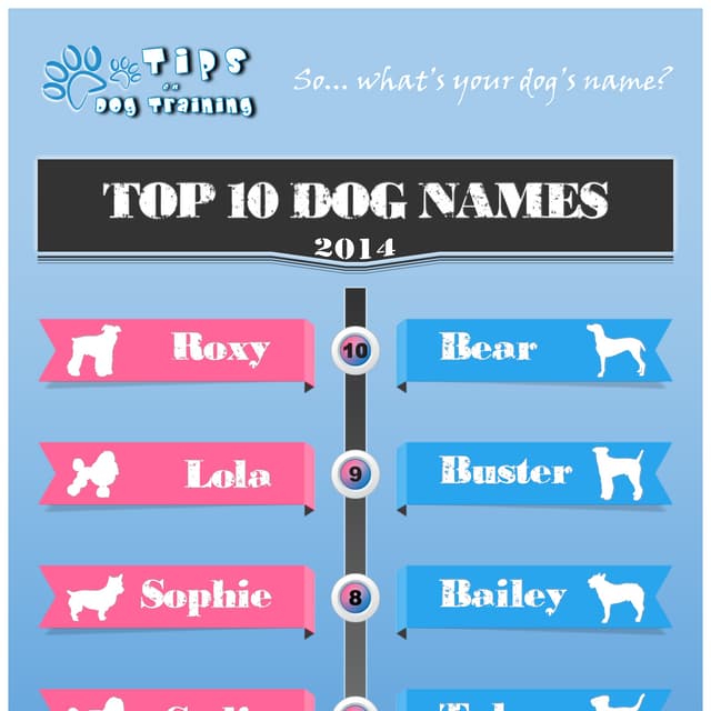 Top Ten Dog Names For 2014 Male and Female Breed PDF