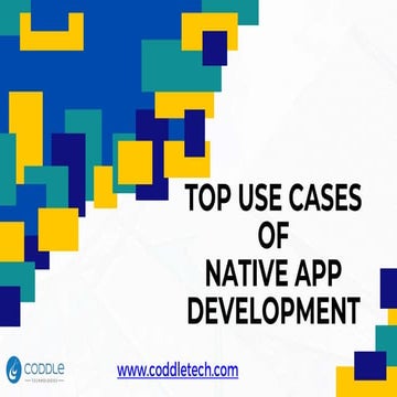 Top Use cases of Native App Development.pptx