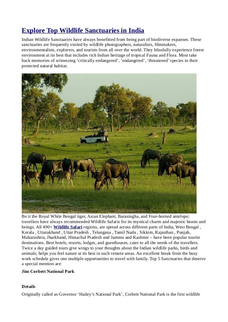 Top wildlife sancturies of india