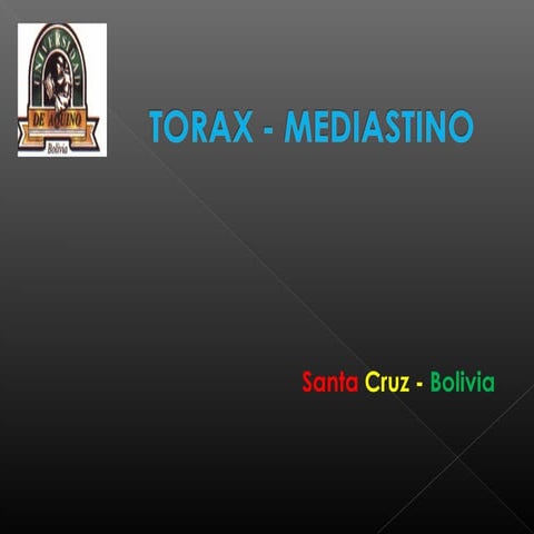 Torax   mediastino