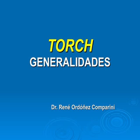 Torch | PPT