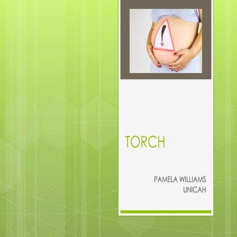 Torch | PPTX