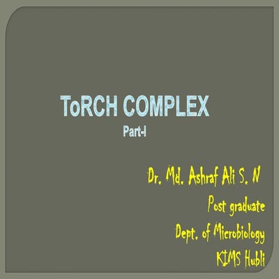 Torch complex PART-1