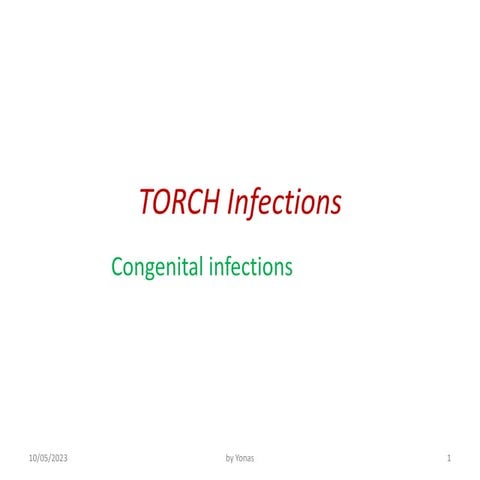 TORCH Infections.pptx
