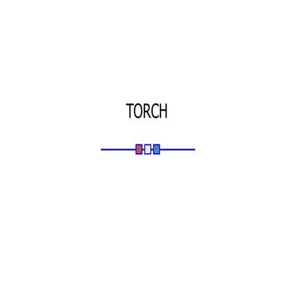 TORCH_pptpendidikanprogramdokterspesialis.ppt