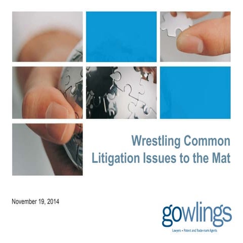 Wrestling Common Litigation Issues to the Mat