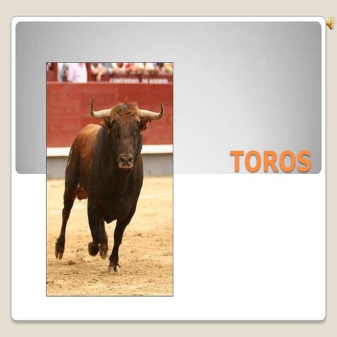 Toros por malaguilla