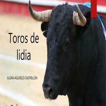 Toros de lidia