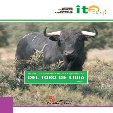 MANUAL DE PATOLOGÍA MÉDICA Y QUIRÚRGICA DEL TORO DE LIDIA