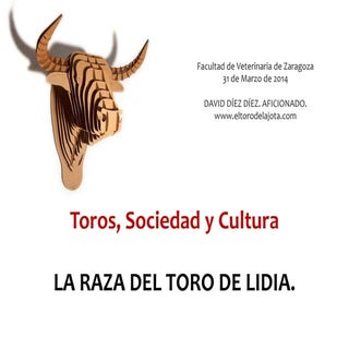 Toros, sociedad y cultura