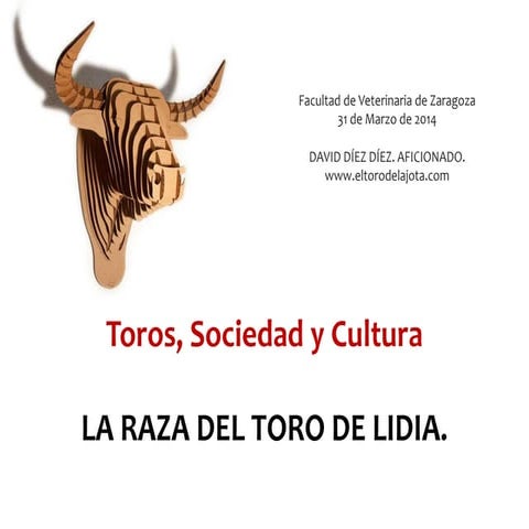 Toros, sociedad y cultura