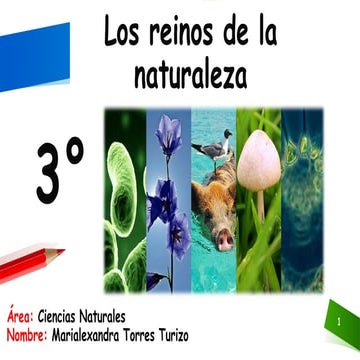 Los reinos de la naturaleza | PPTX