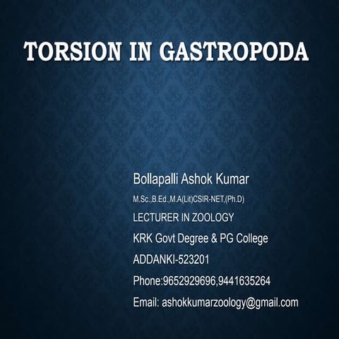 Torsion in gastropoda