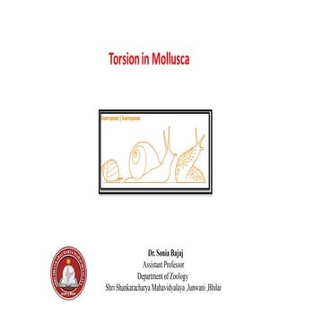 Torsion in Mollusca, Mechanism of torsion
