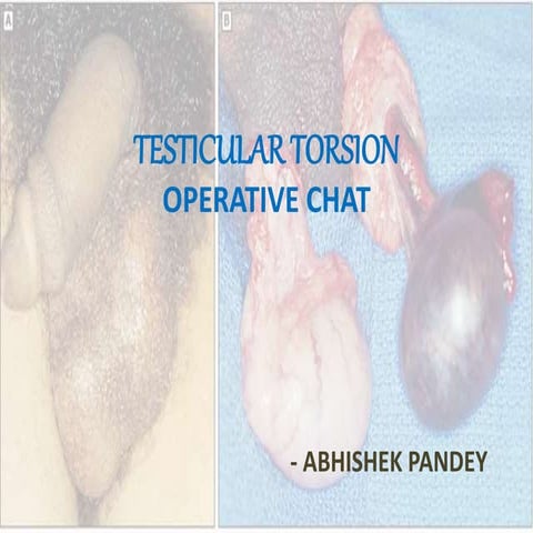 Torsion testis - Operative chat