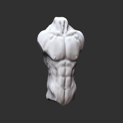 Torso sculpt | PDF