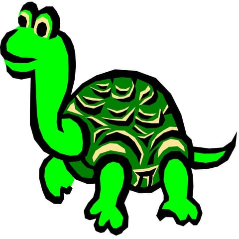 Tortoise | PPT