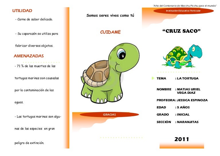 Tortuga