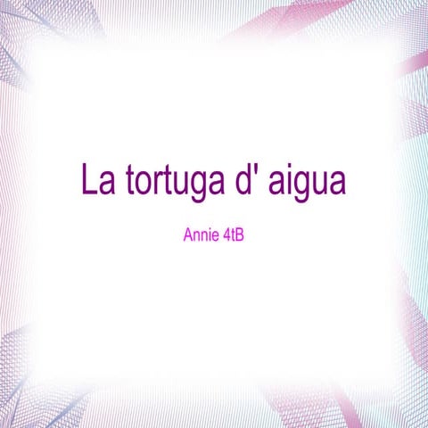 Tortuga d'aigua dolça