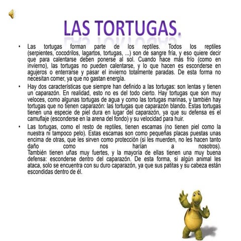 Tortugas
