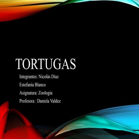 Tortugas
