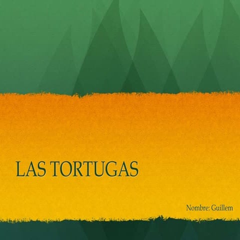 Tortugas