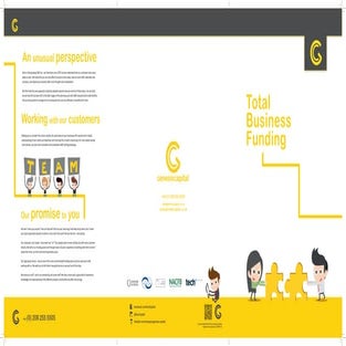 Total business funding