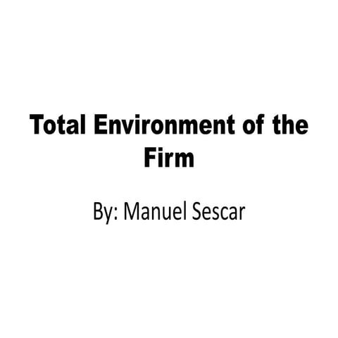 Total environment of the firm 2