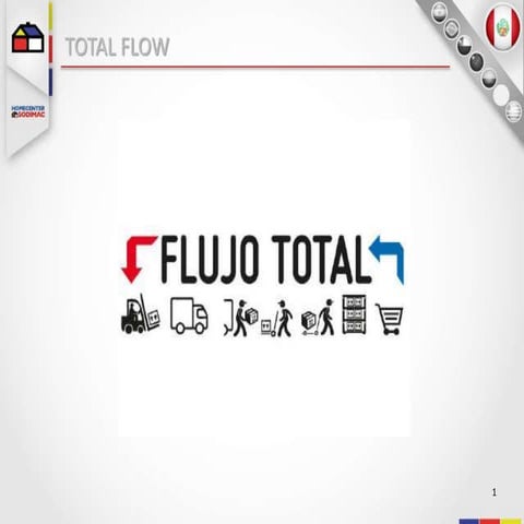3. Programa Total Flow.pptx