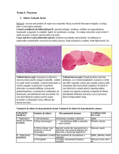 pathofiziologia pierderii în greutate în tb
