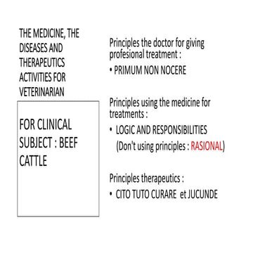 THE MEDICINE, THE DISEASES AND THERAPEUTICS ACTIVITIES FOR VETERINARIAN