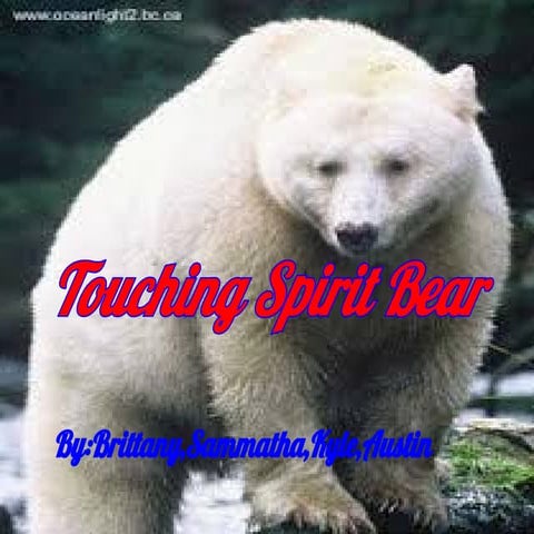 Touching spirit bear
