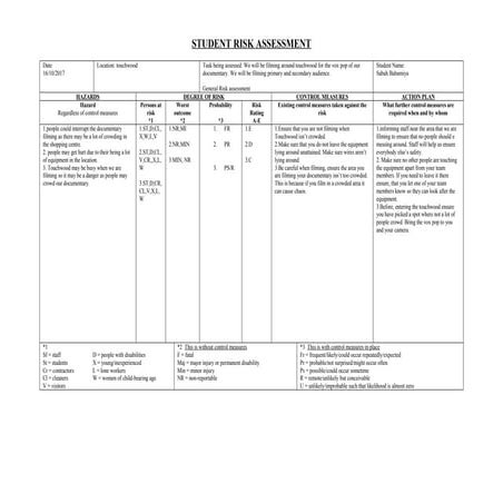 Risk assessment on town centre | DOC