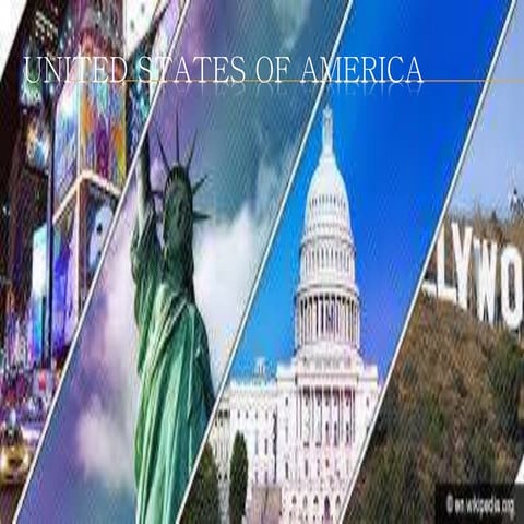 Tour10   usa - fungo