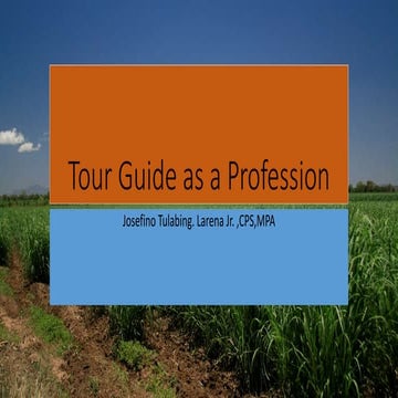 Tour Guide as a Profession