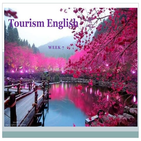 Tourism English 7