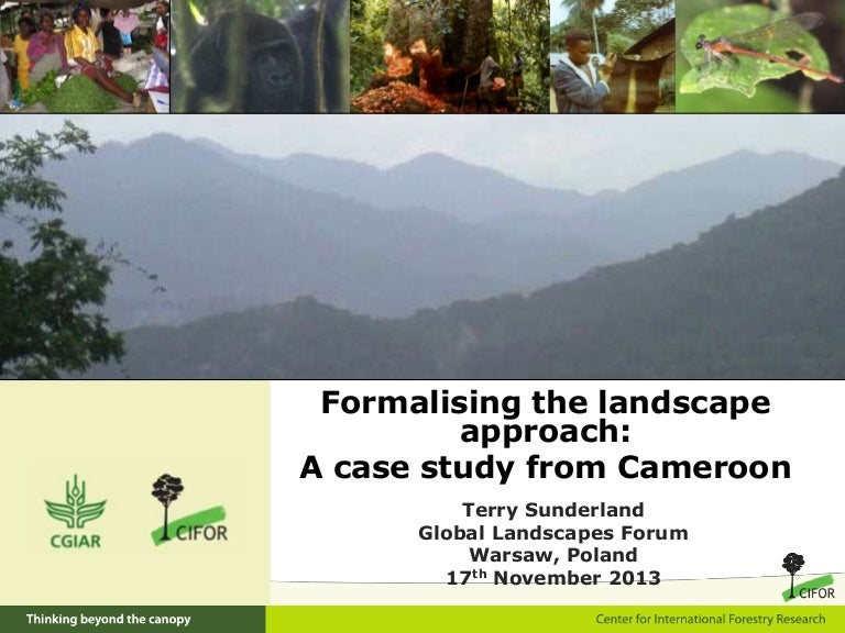 thumbnail of  Formalising the landscape approach:  A case study from Cameroon