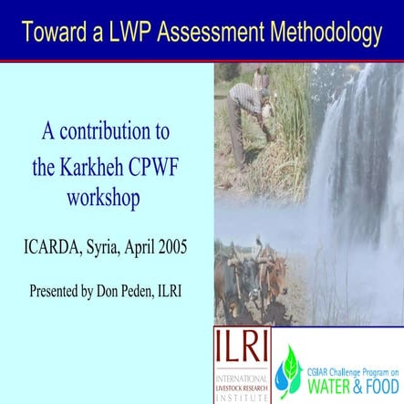 Toward a LWP assessment methodology: a contribution to the Karkheh CPWF workshop