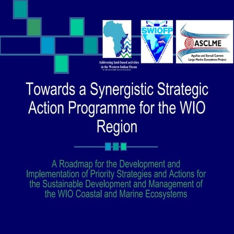 Towards a Synergistic Strategic Action Programme for the WIO Region (IWC5 Pre...