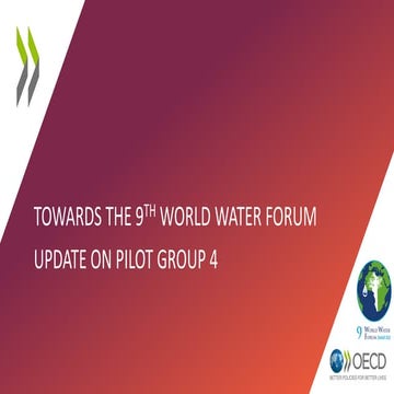Towards the 9th World Water Forum: Update on Pilot Group 4