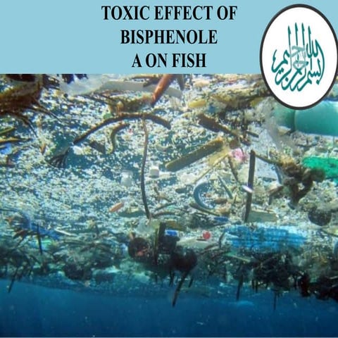 Toxic effect of bisphenol a on fish and human