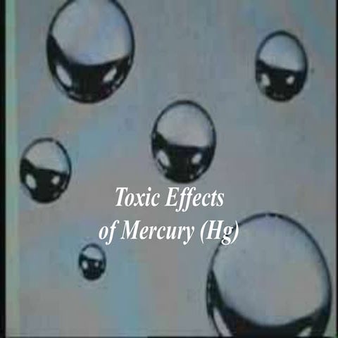 toxic effects.ppt