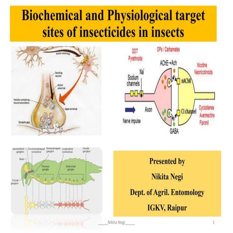 Biochemical and physiological target sites of insecticides on insect