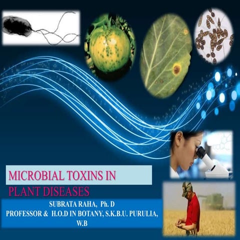 IMPORTANCES OF MICROBIAL TOXINS IN PLANT DISEASES.pptx
