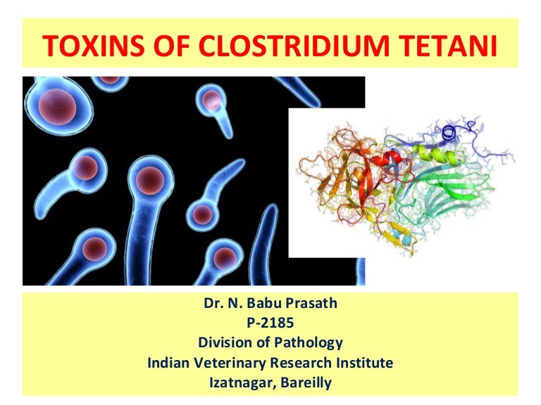 Toxins Of Clostridium Tetani