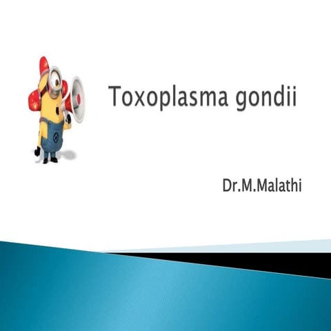 Toxoplasma gondii