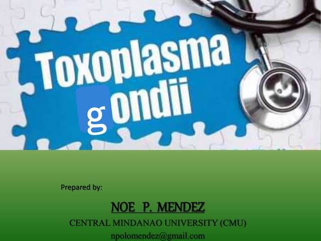 Toxoplasma gondii