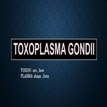 Toxoplasma gondii